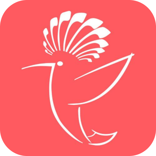 Application Icon