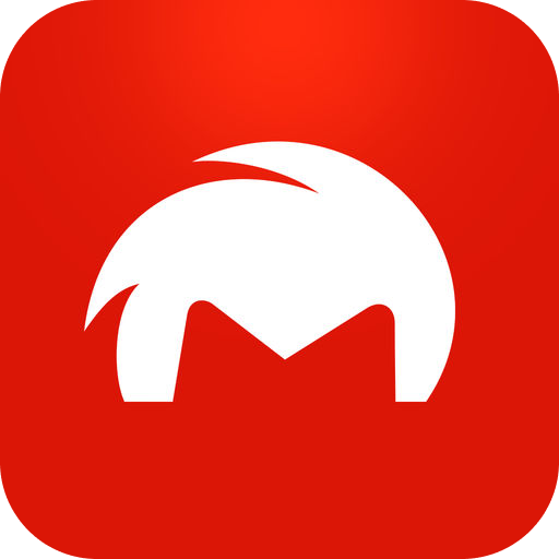Application Icon